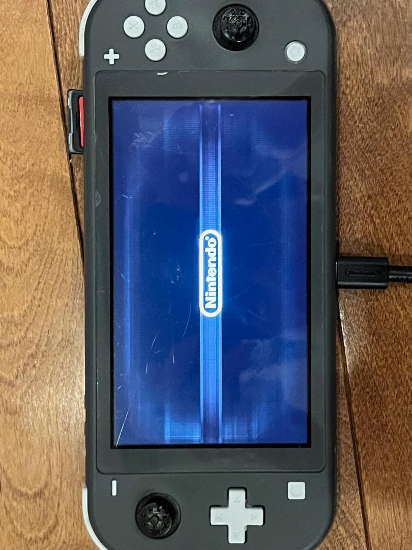 い*は様 ジャンク品　Nintendo Switch Lite グレー　画面焼け