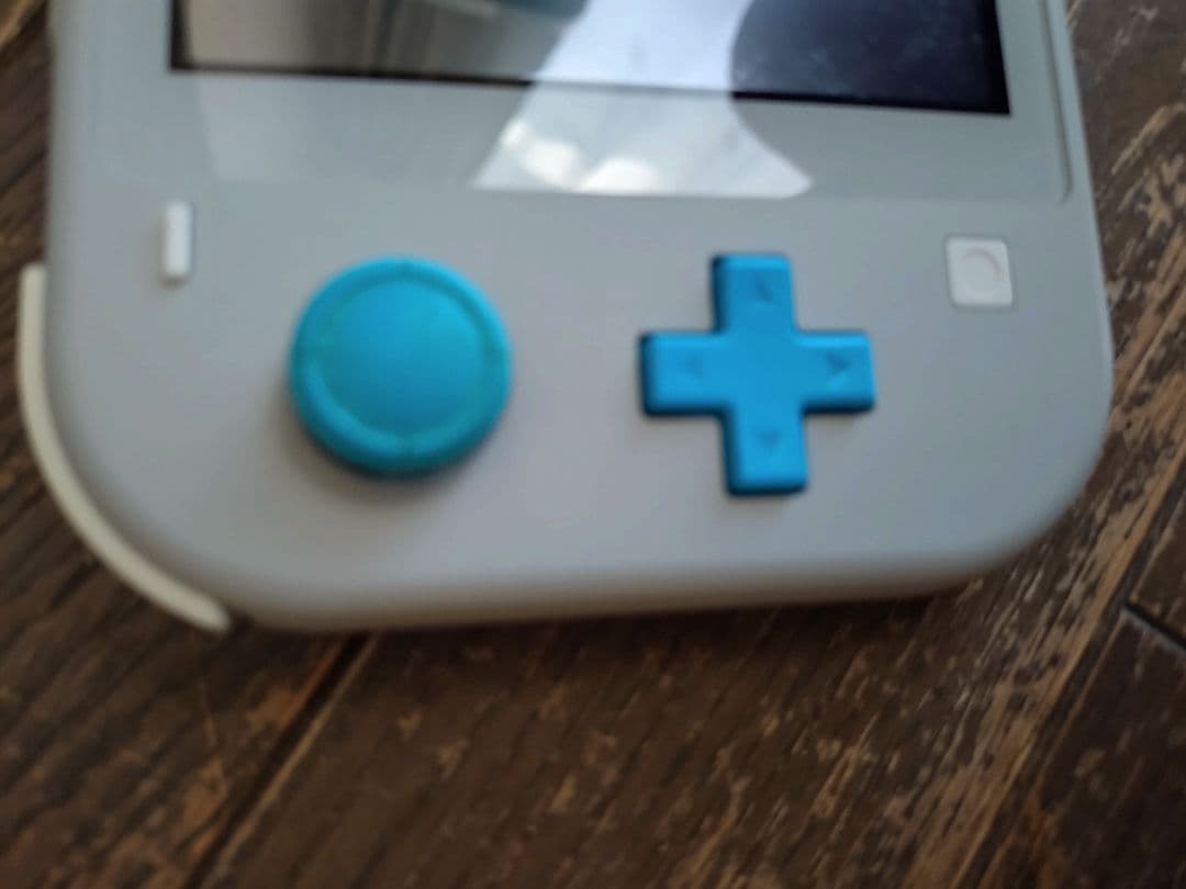 NINTENDO SWITCH LITE ザ・シアン、ザ・マゼンダ