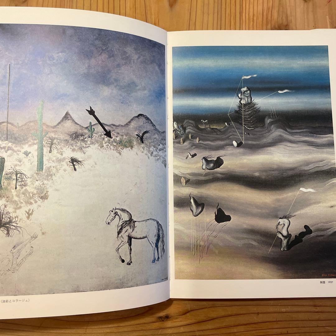 シュルレアリスムと画家叢書「骰子の7の目」〈第9巻〉イヴ・タンギー