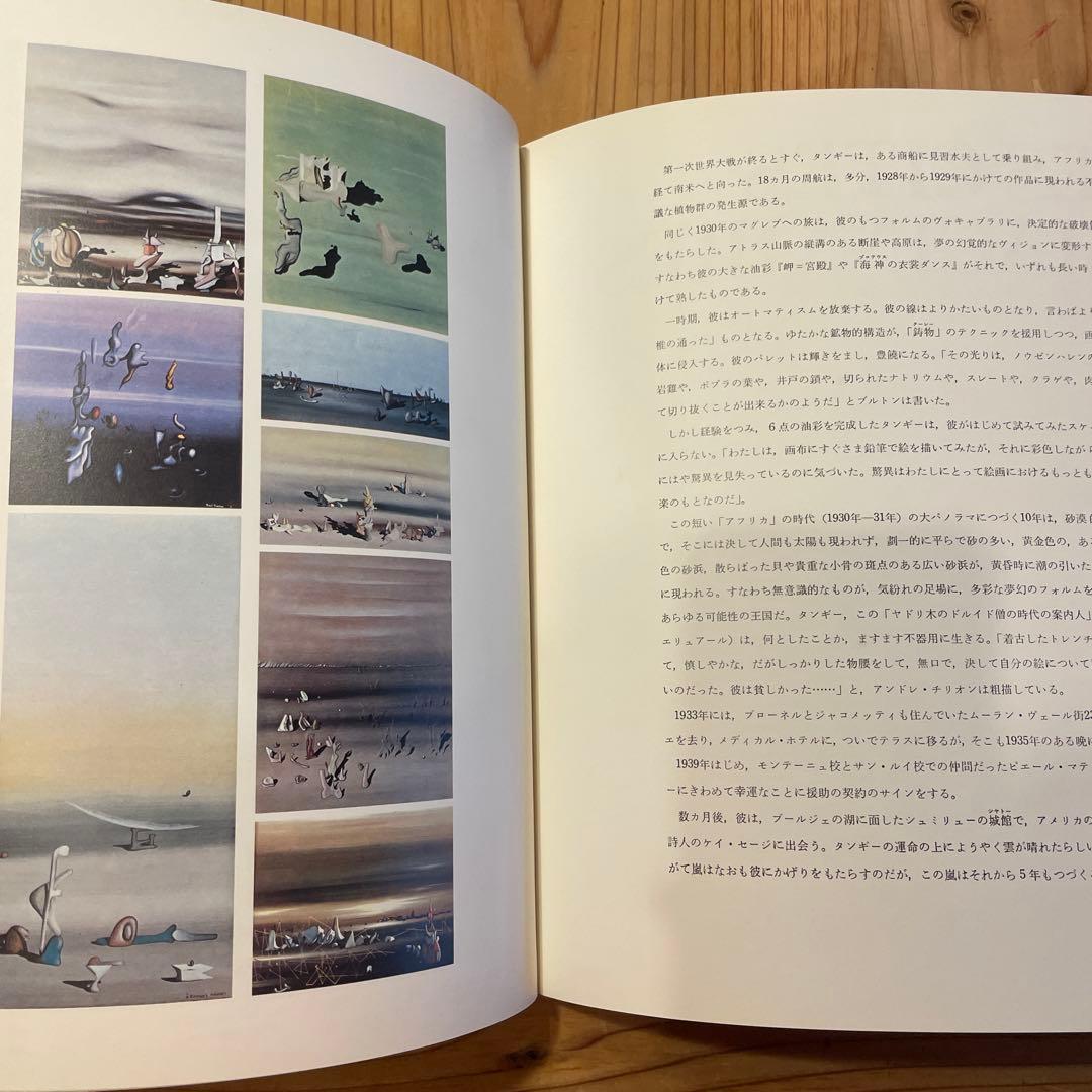 シュルレアリスムと画家叢書「骰子の7の目」〈第9巻〉イヴ・タンギー