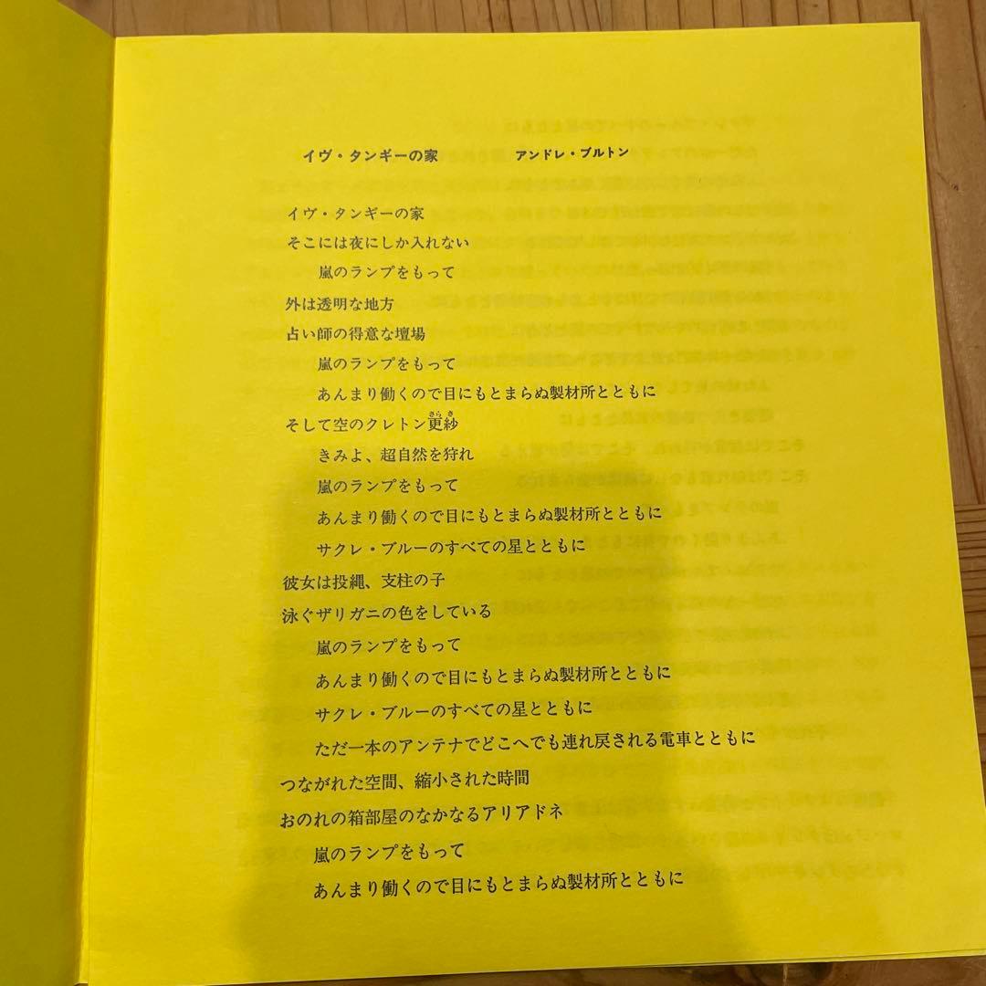 シュルレアリスムと画家叢書「骰子の7の目」〈第9巻〉イヴ・タンギー