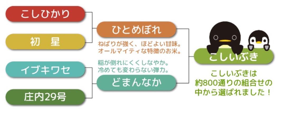 taco こしいぶき