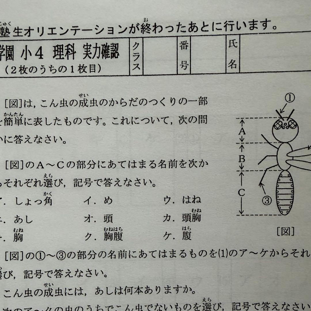 【浜学園】小4 Vクラス 復習テスト 3科目 国語 算数 理科 即発送 即購入可