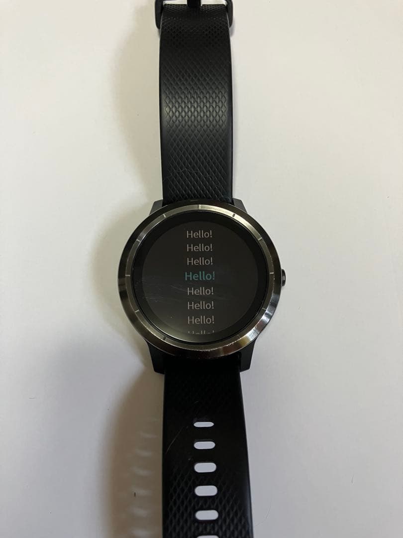 ガーミン GARMIN vivoactive3