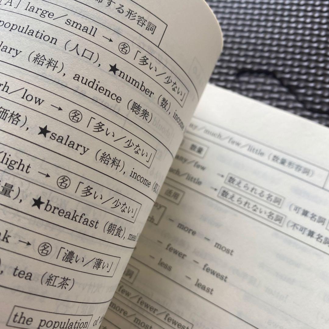 【希少品、圧巻付録】代ゼミテキスト　早慶英語　西谷昇二　夏期講習会　1997年