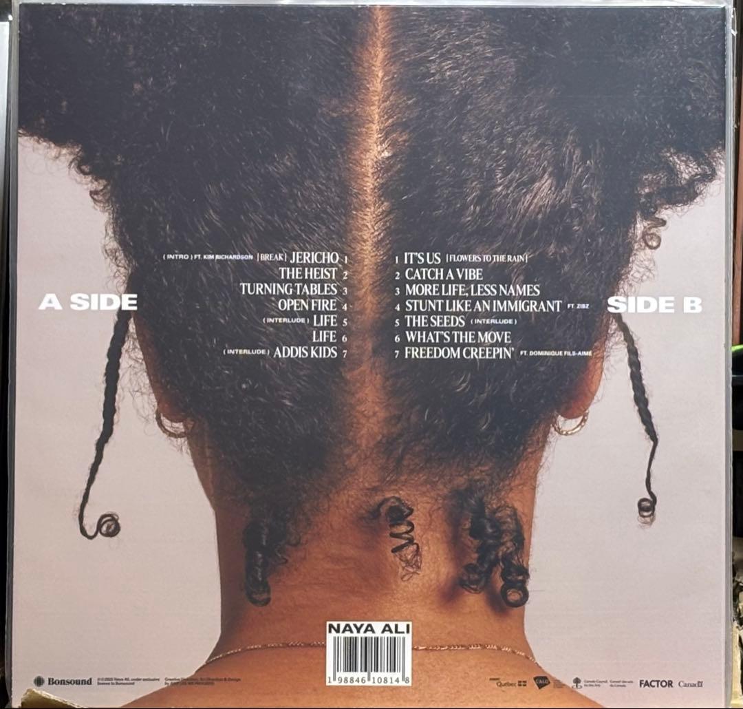 Naya Ali We Did The Damn Thing LP 新品