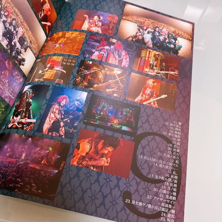 天羅叫声 DVD 己龍 単独公演