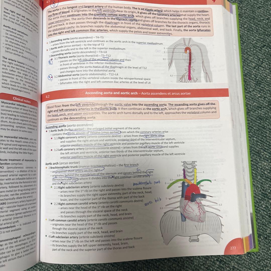 健康・医学 MEMORIX ANATOMY 2nd edition