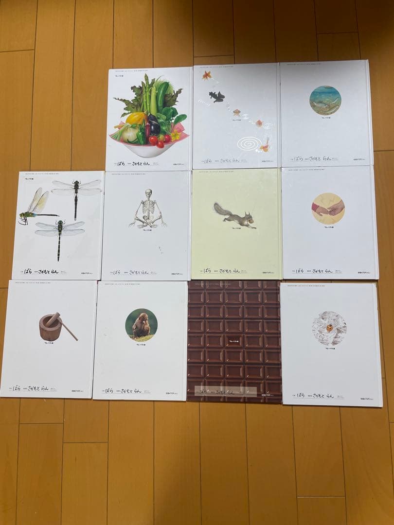 キンダーブック　しぜん　合計66冊　まとめ売りバラ売り不可