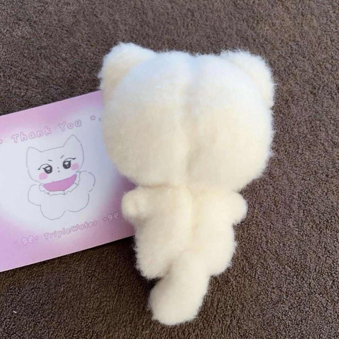 enhypen ジョンウォン　ぬいぐるみ　10cm 新品　マスター