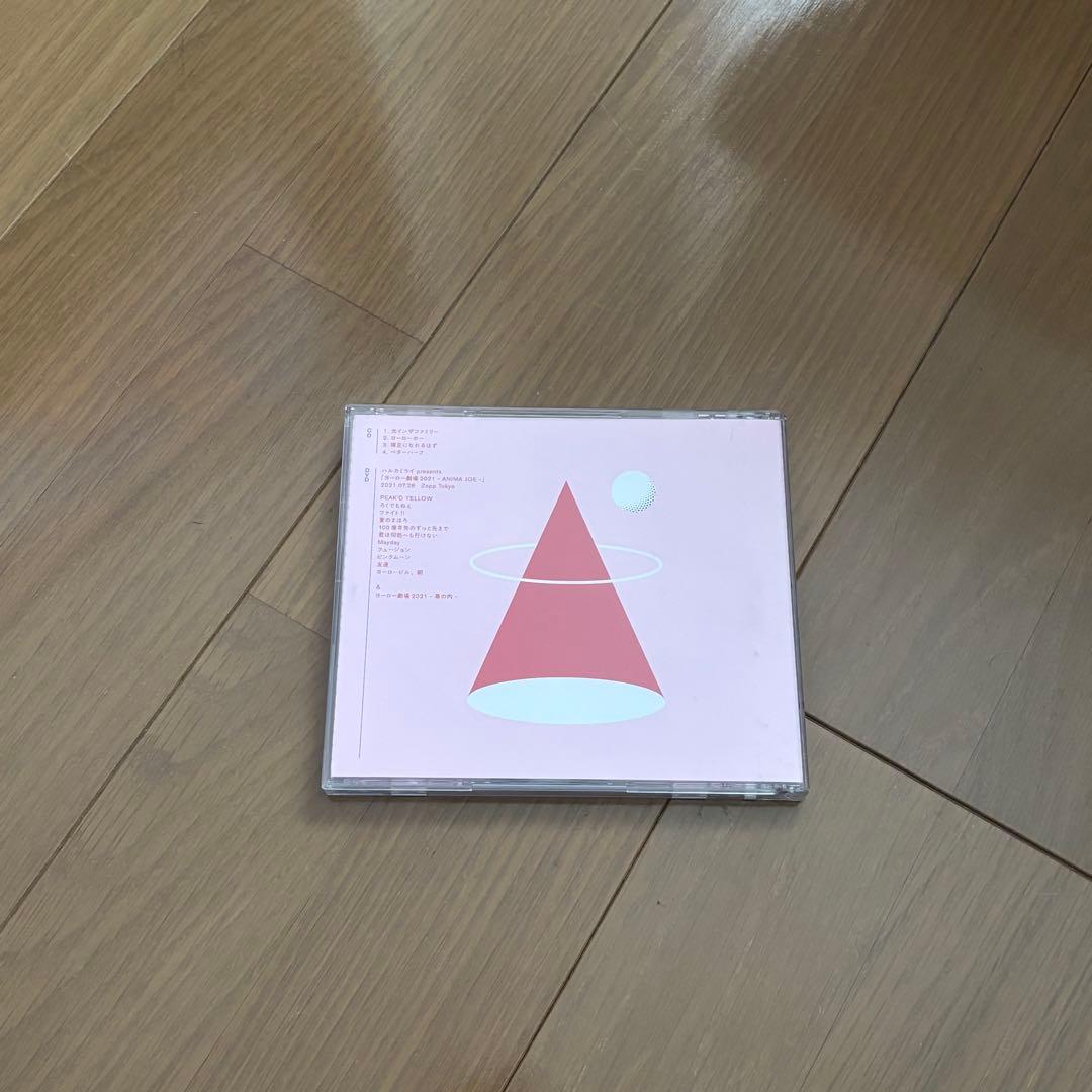 ハルカミライ　cd・dvd 5点セット　帯あり　初回限定版あり　未開封品あり