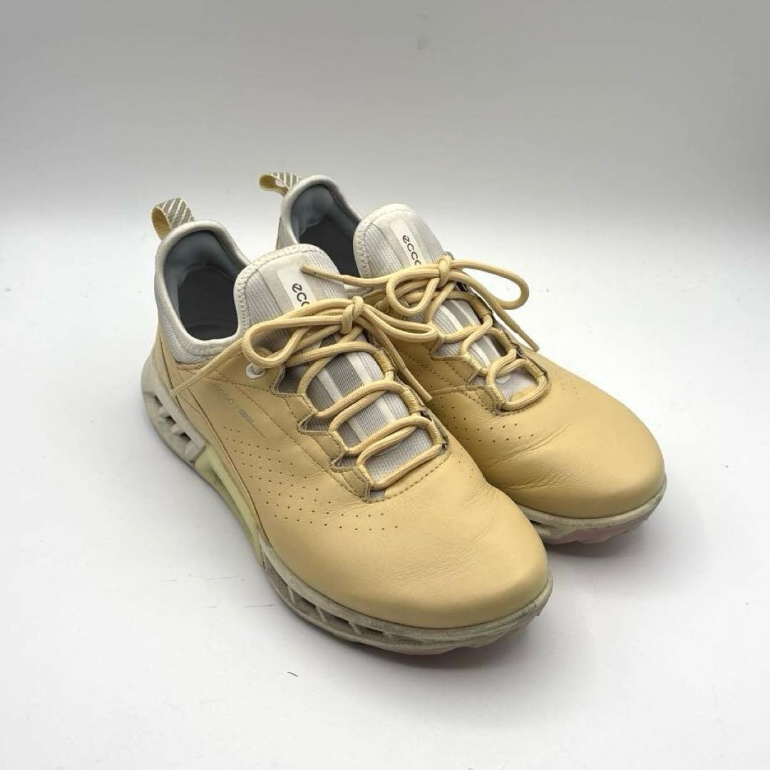 ECCO Golf Biom C4 ゴルフシューズ　ゴアテックス　24.0