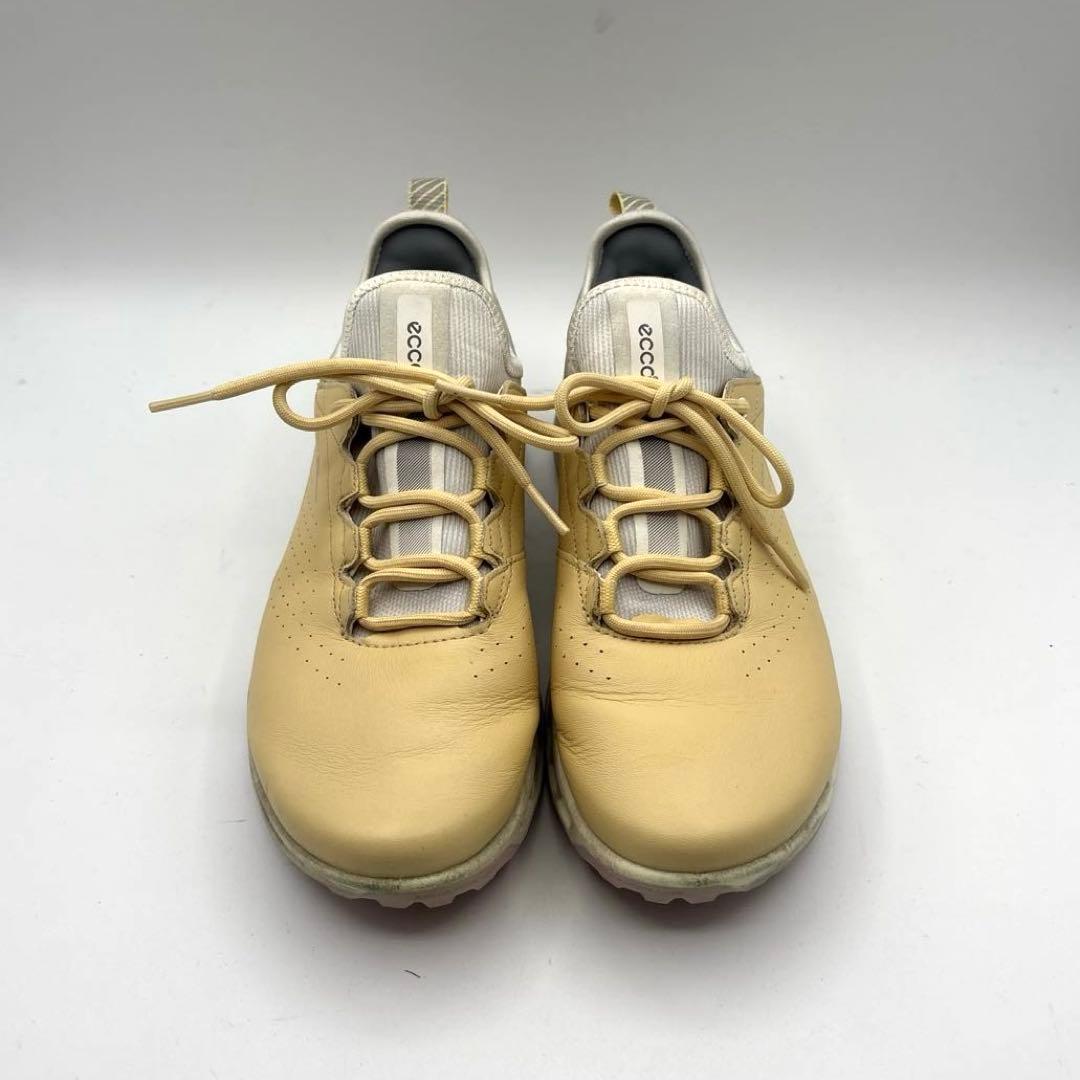 ECCO Golf Biom C4 ゴルフシューズ　ゴアテックス　24.0
