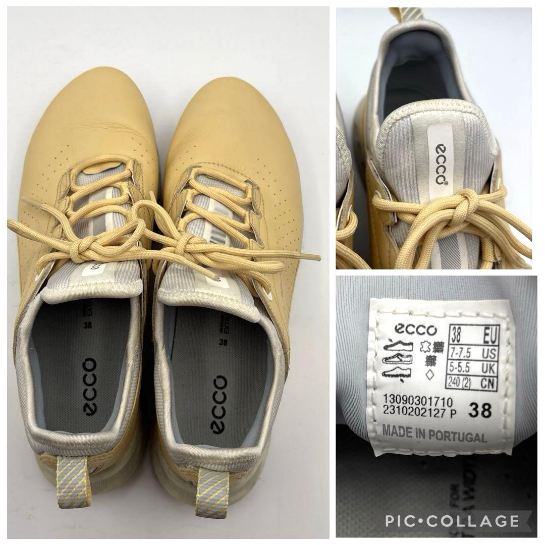 ECCO Golf Biom C4 ゴルフシューズ　ゴアテックス　24.0