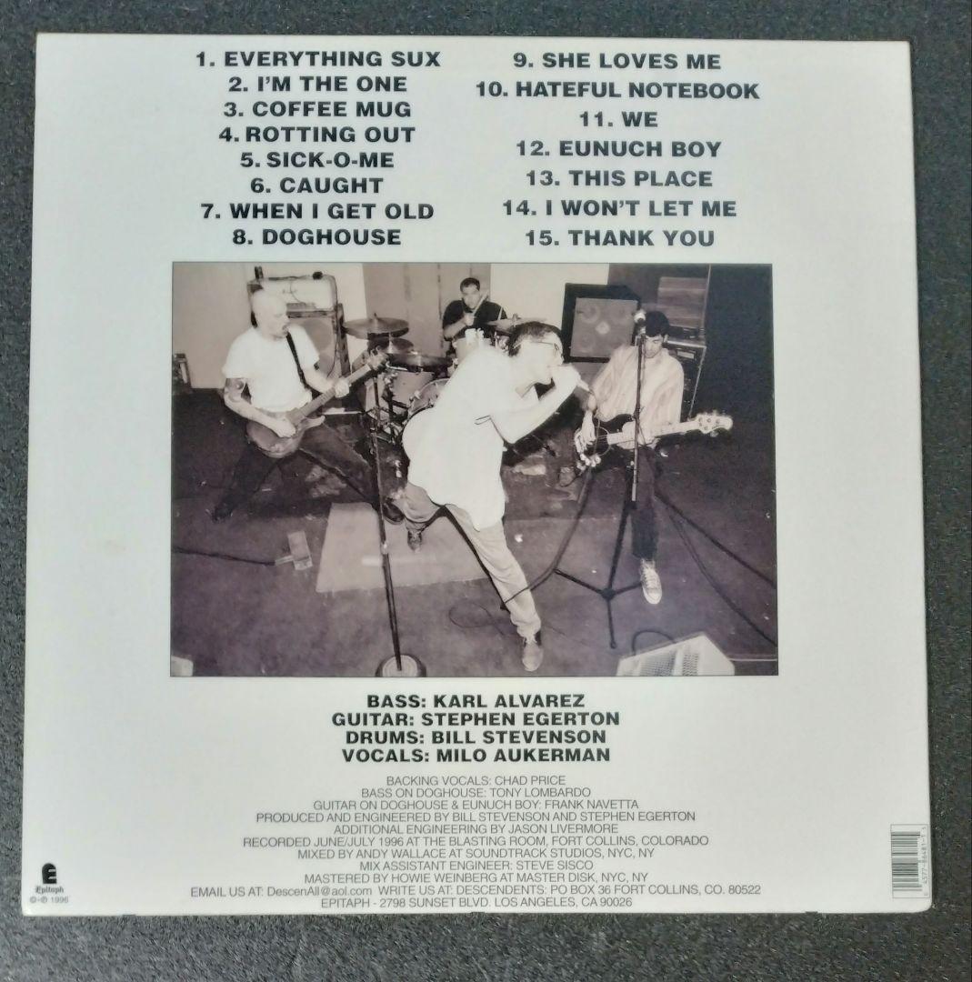 DESCENDENTS 　EVERYTHING SUCKS レコード