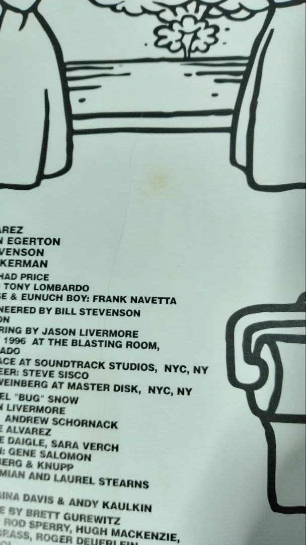DESCENDENTS 　EVERYTHING SUCKS レコード
