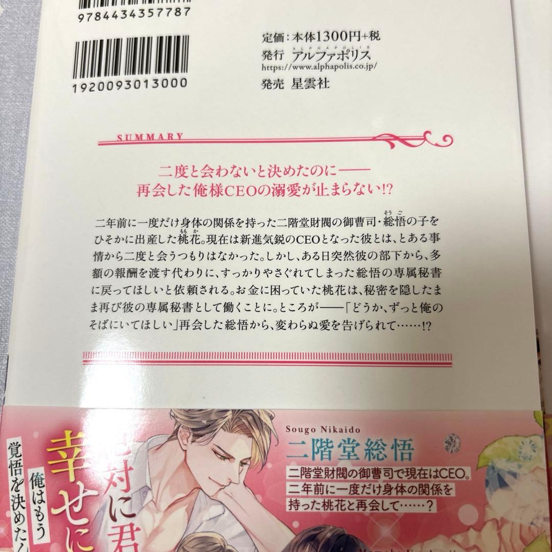 【専用】エタニティブックス・ルネッタブックス・ヴァニラ文庫ミエル　5月新刊