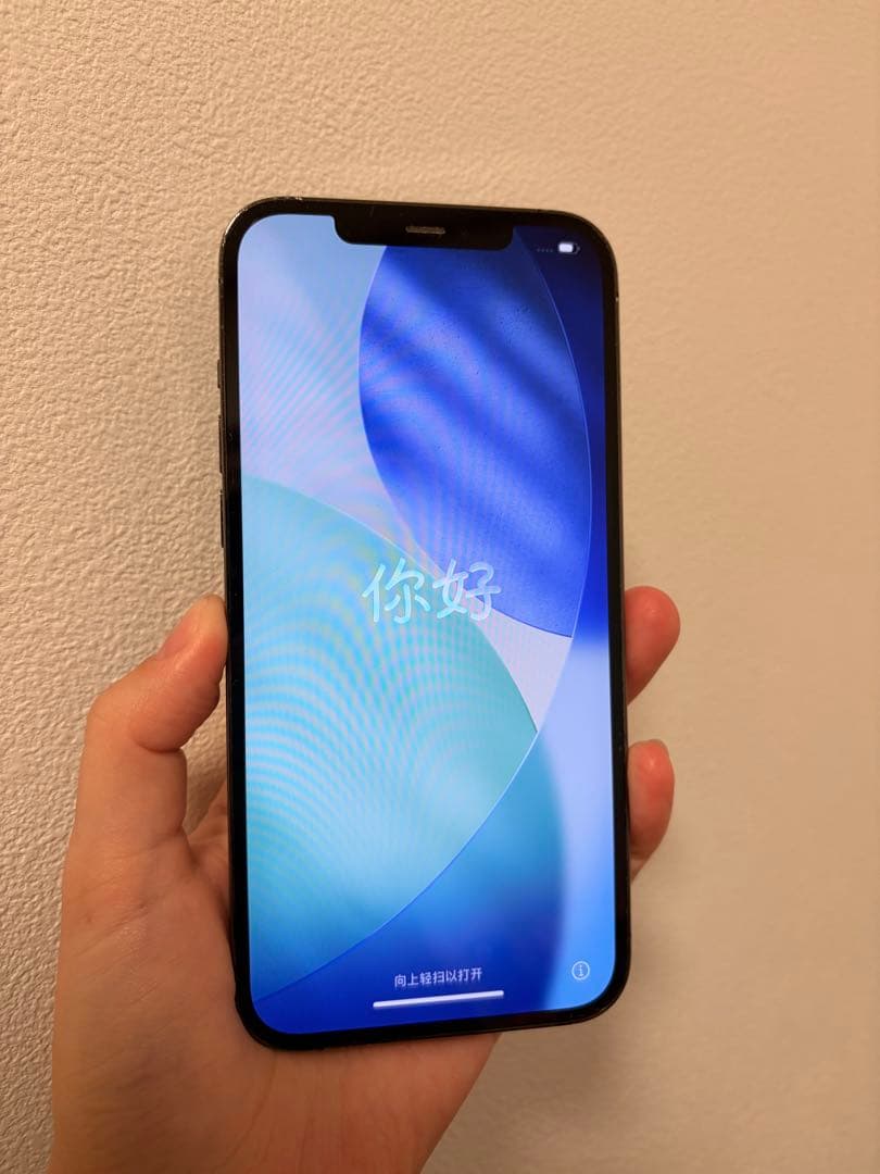 iPhone12pro max 128GB iface付き