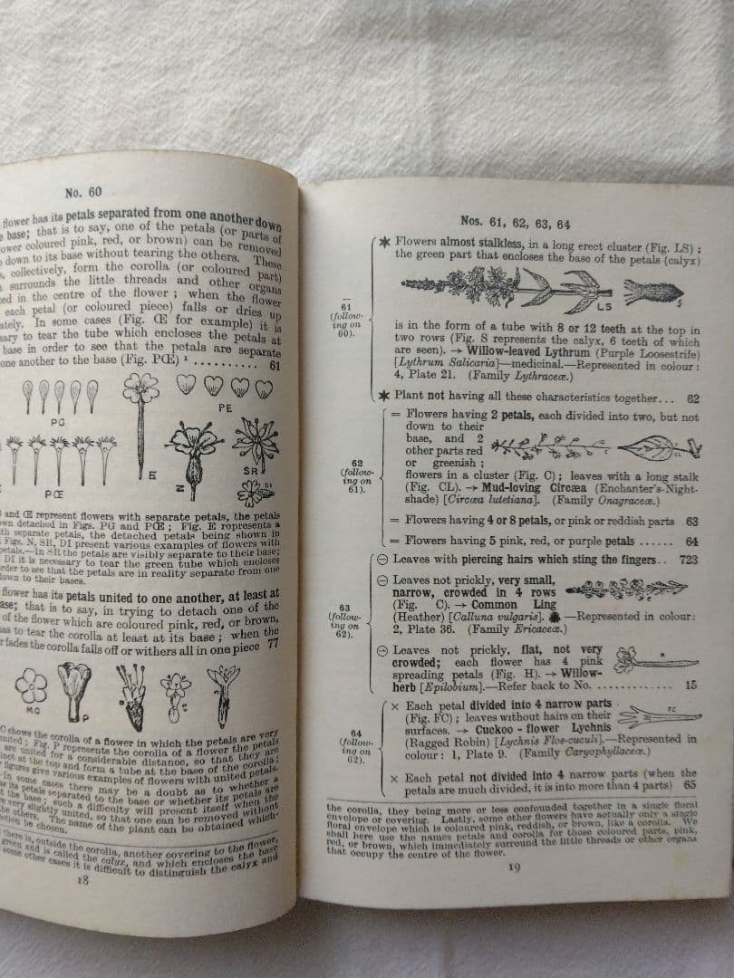 週末Sale❁洋書古書 レア 植物図鑑 フランス 植物学者ガストン・ボニエ