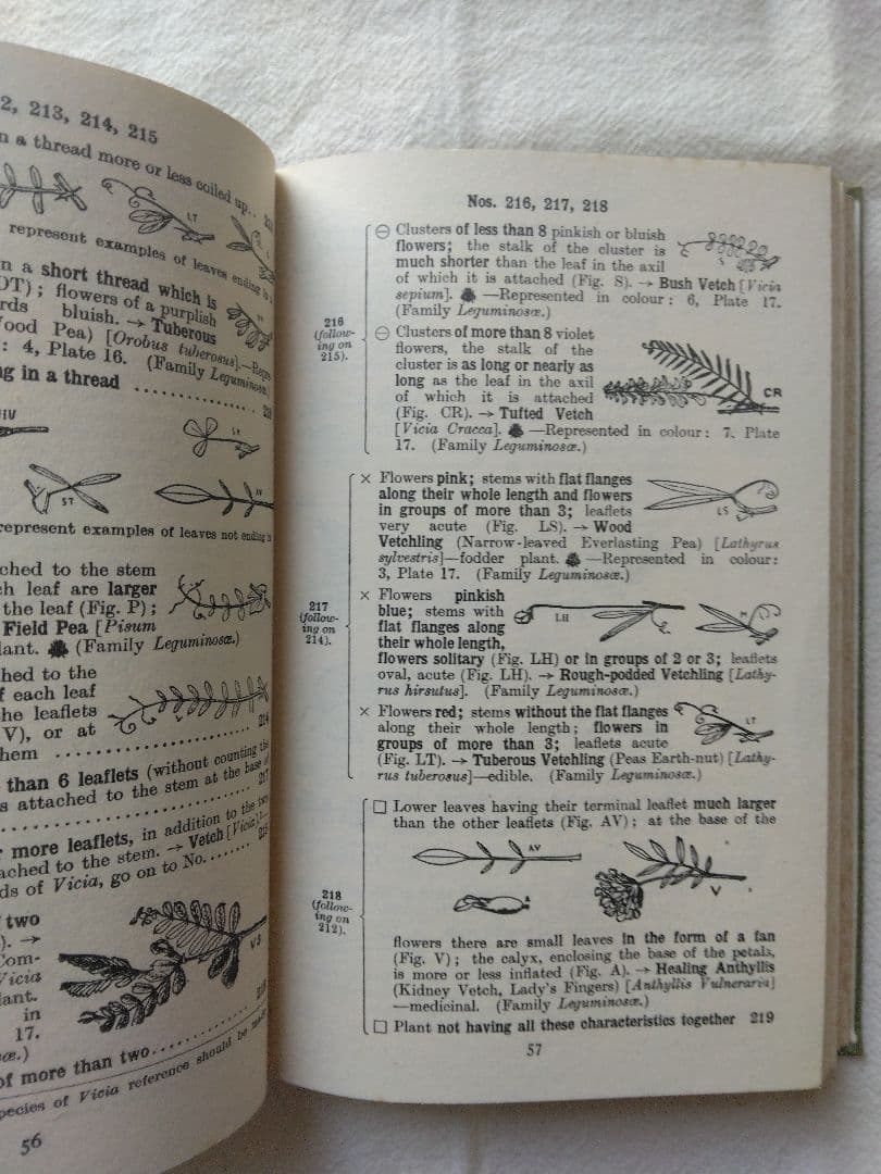 週末Sale❁洋書古書 レア 植物図鑑 フランス 植物学者ガストン・ボニエ