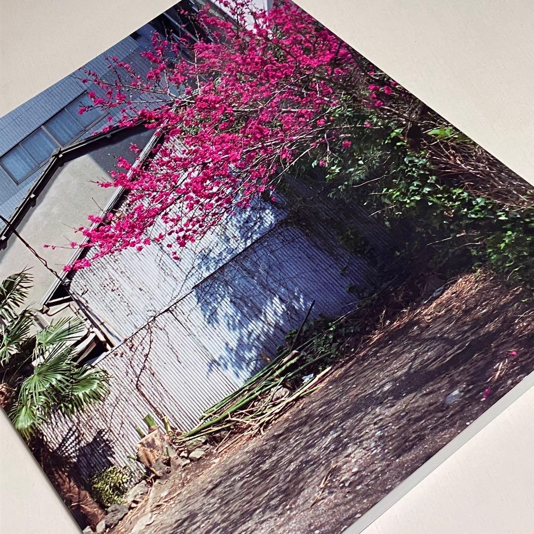 ▽24E　鷹野隆大 毎日写真1999-2021　写真集　図録　良好