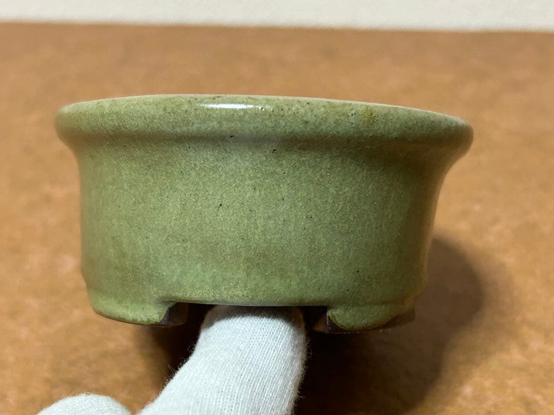 盆栽鉢　小品盆栽　山野草