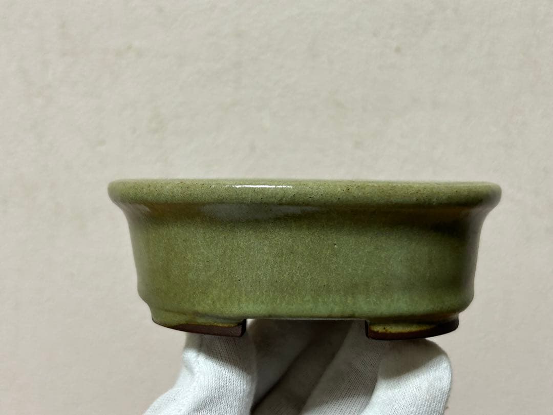 盆栽鉢　小品盆栽　山野草