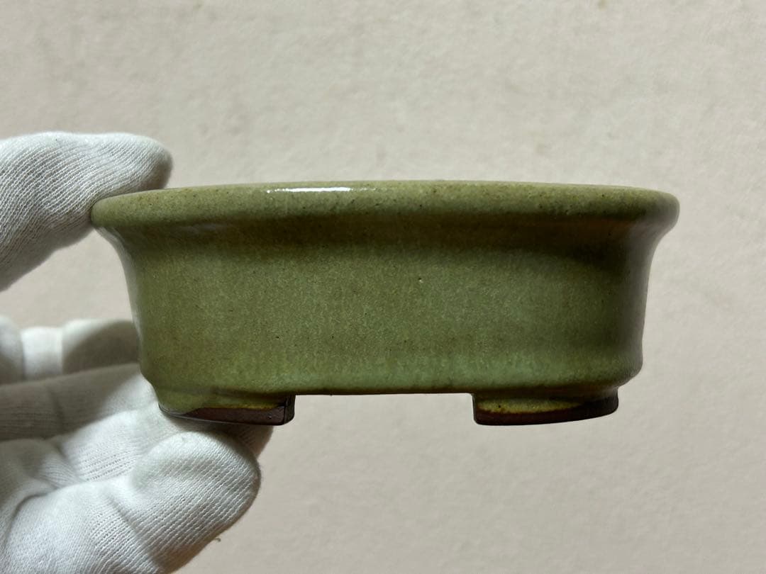 盆栽鉢　小品盆栽　山野草