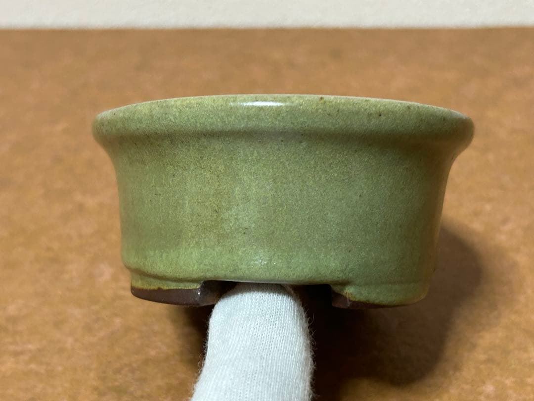 盆栽鉢　小品盆栽　山野草
