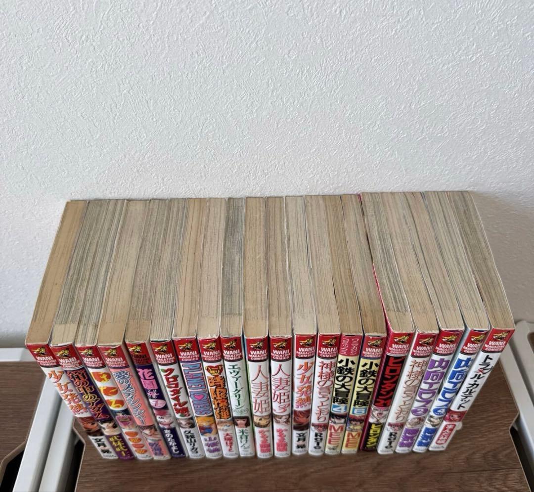 ワニマガジン 漫画 コミック 20冊 セット まとめ売り レトロ 古本