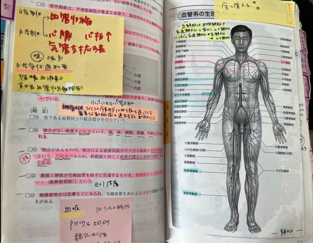 看護師　看護　参考書　レビューブック　国家試験　看護師国家試験