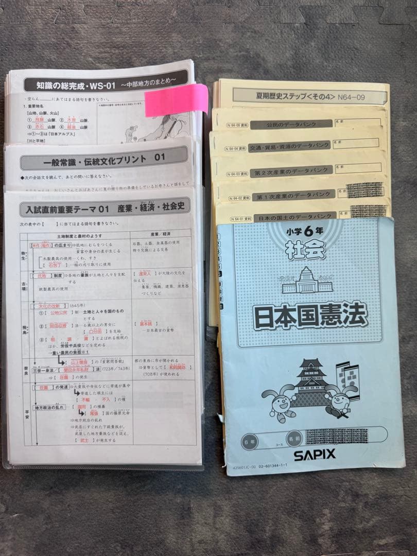 user_d5547334 ⭐︎最新版フルセット① SAPIXサピックス6年