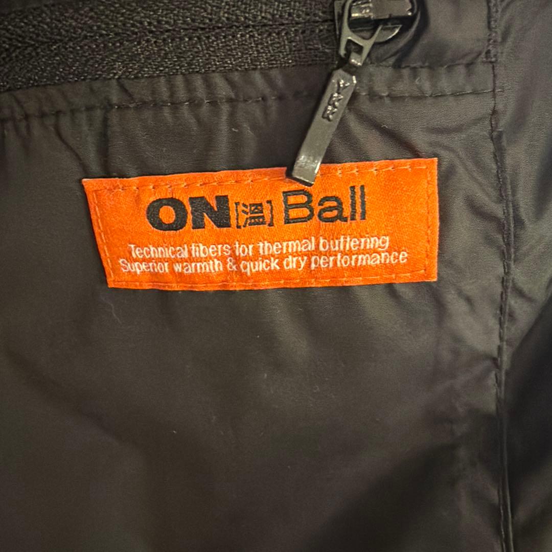 韓国THE NORTH FACE NUPTSE ON BALLベスト