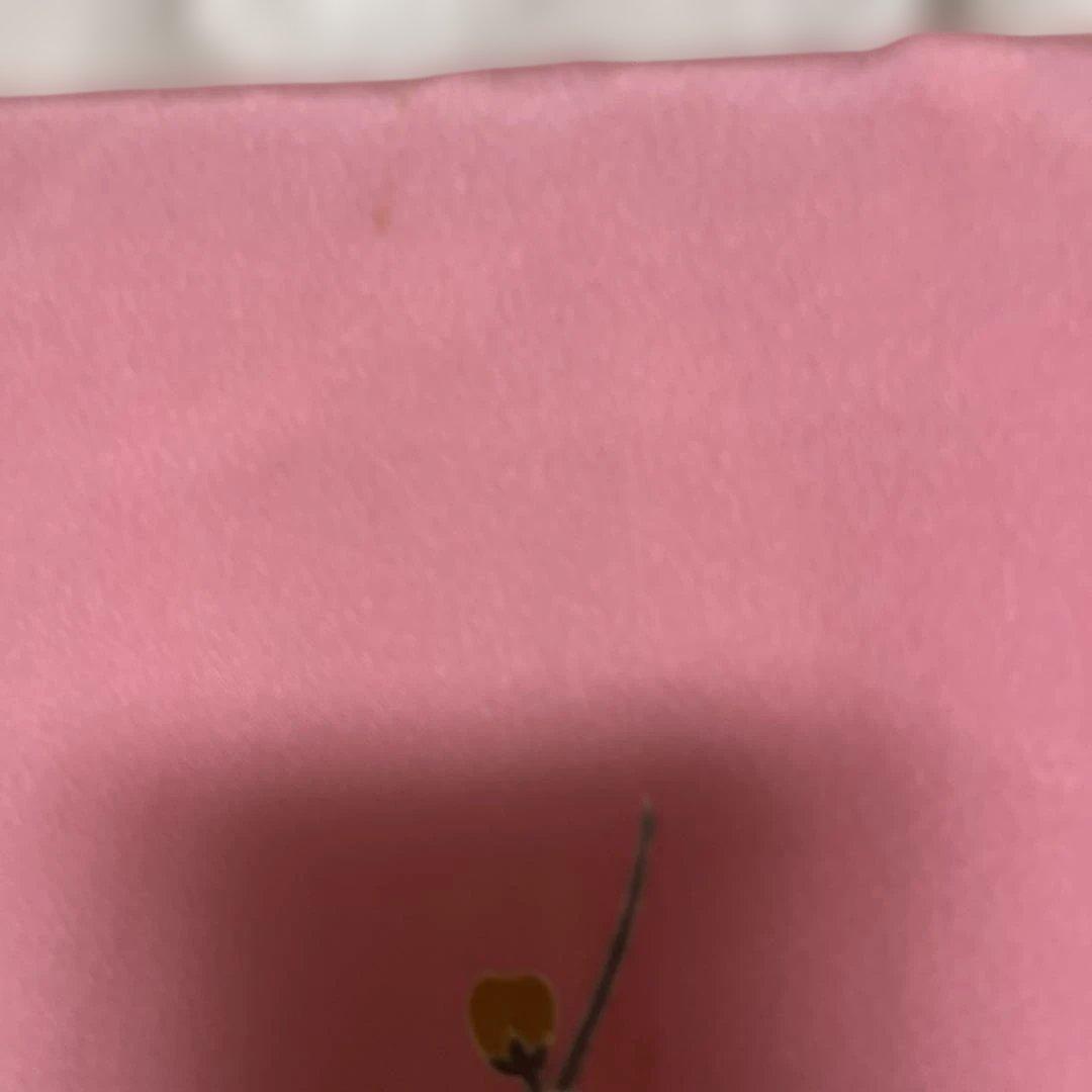 紋付き　お宮参り　美品　女の子　祝い着　正絹