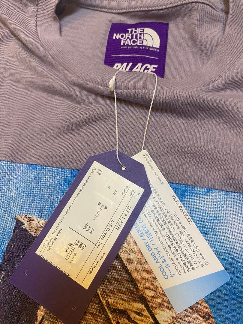 【THE North Face×PALACE】Tシャツ　Mサイズ