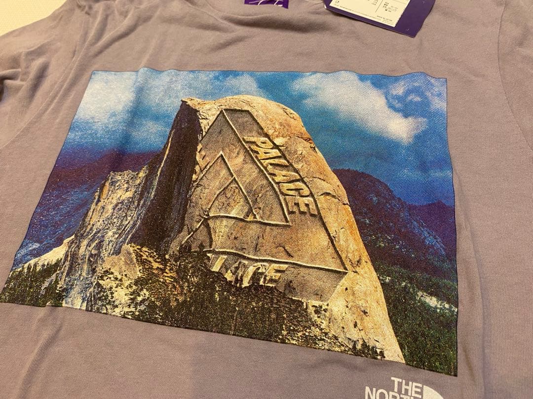 【THE North Face×PALACE】Tシャツ　Mサイズ