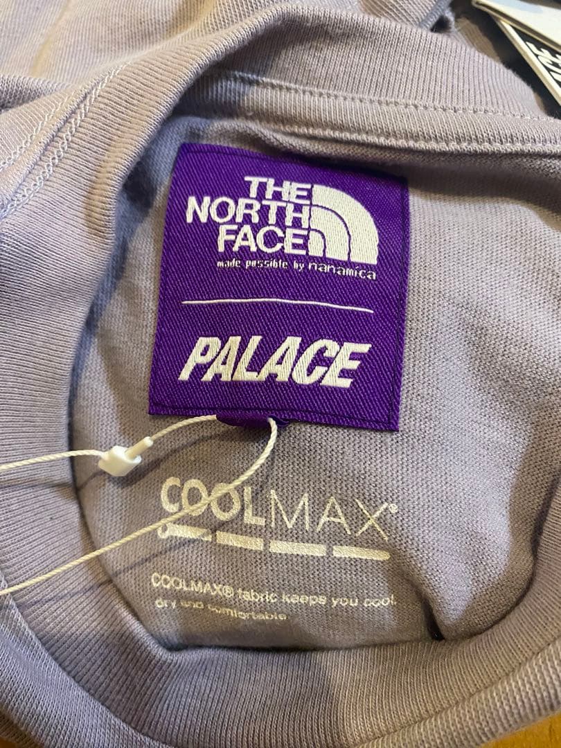 【THE North Face×PALACE】Tシャツ　Mサイズ