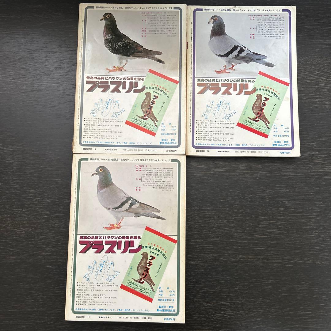 愛鳩の友　1981年1.2.5.6.8.9.10.11月