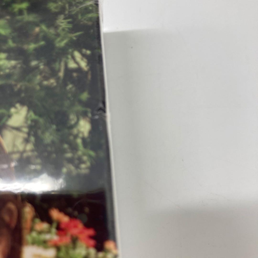 【希少レア・未開封】君を愛した時間 ワタシとカレの恋愛白書 DVD-BOX1・2