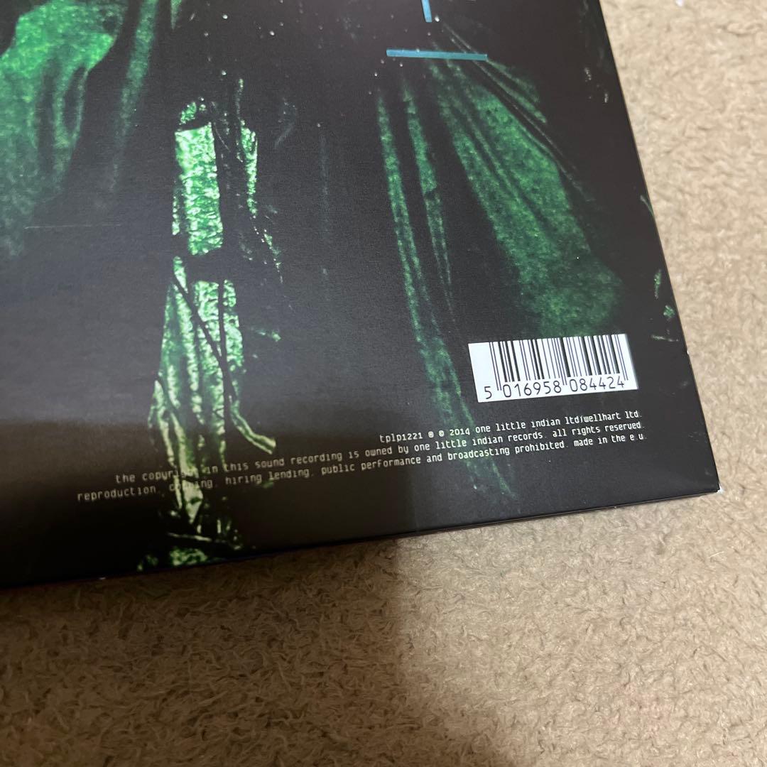 Bjork – Biophilia Live