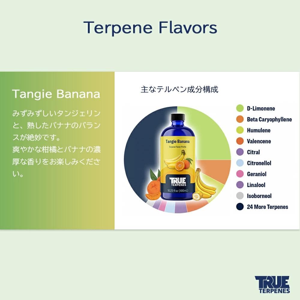 TRUE テルペン 510 CBD CBN CBG 10ml タンジーバナナ