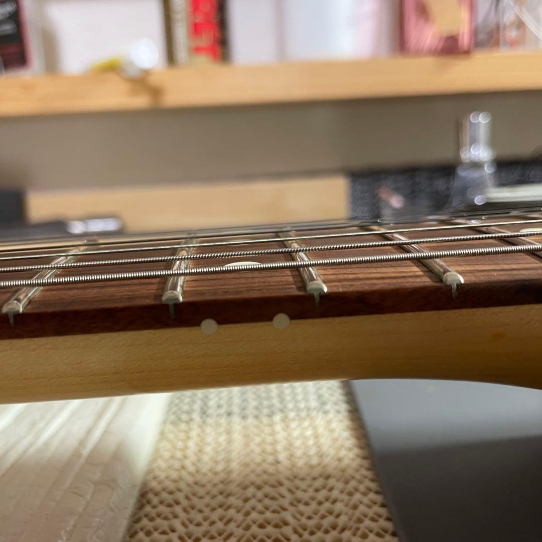 ギター Fender Player Stratocaster Pau Ferro