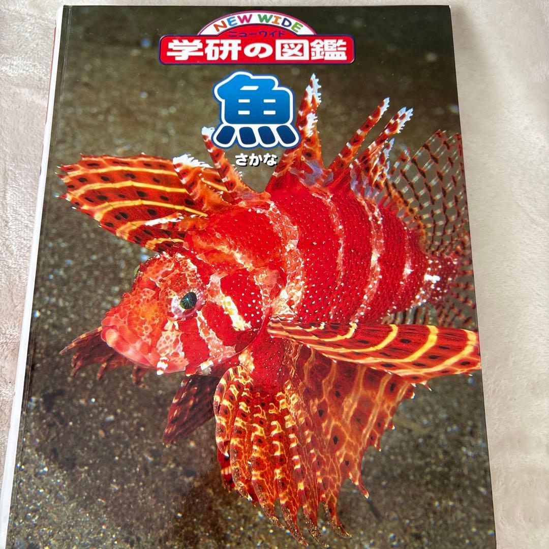 学研の図鑑LIVE＋小学館NEO ほか 図鑑 11冊まとめセット
