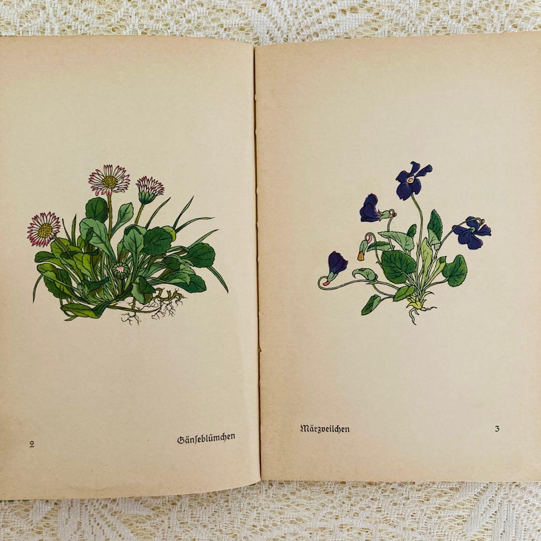 洋書　古書　インゼル文庫 No.269 & 281　小さな植物図鑑2冊セット♪