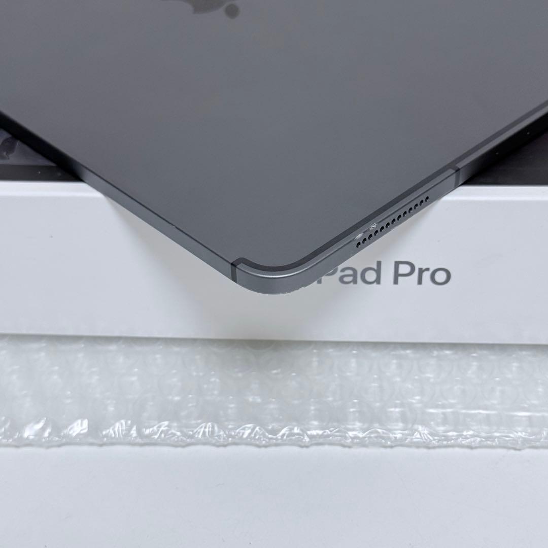 iPad pro 11インチ 第1世代 64GB Cellularモデル