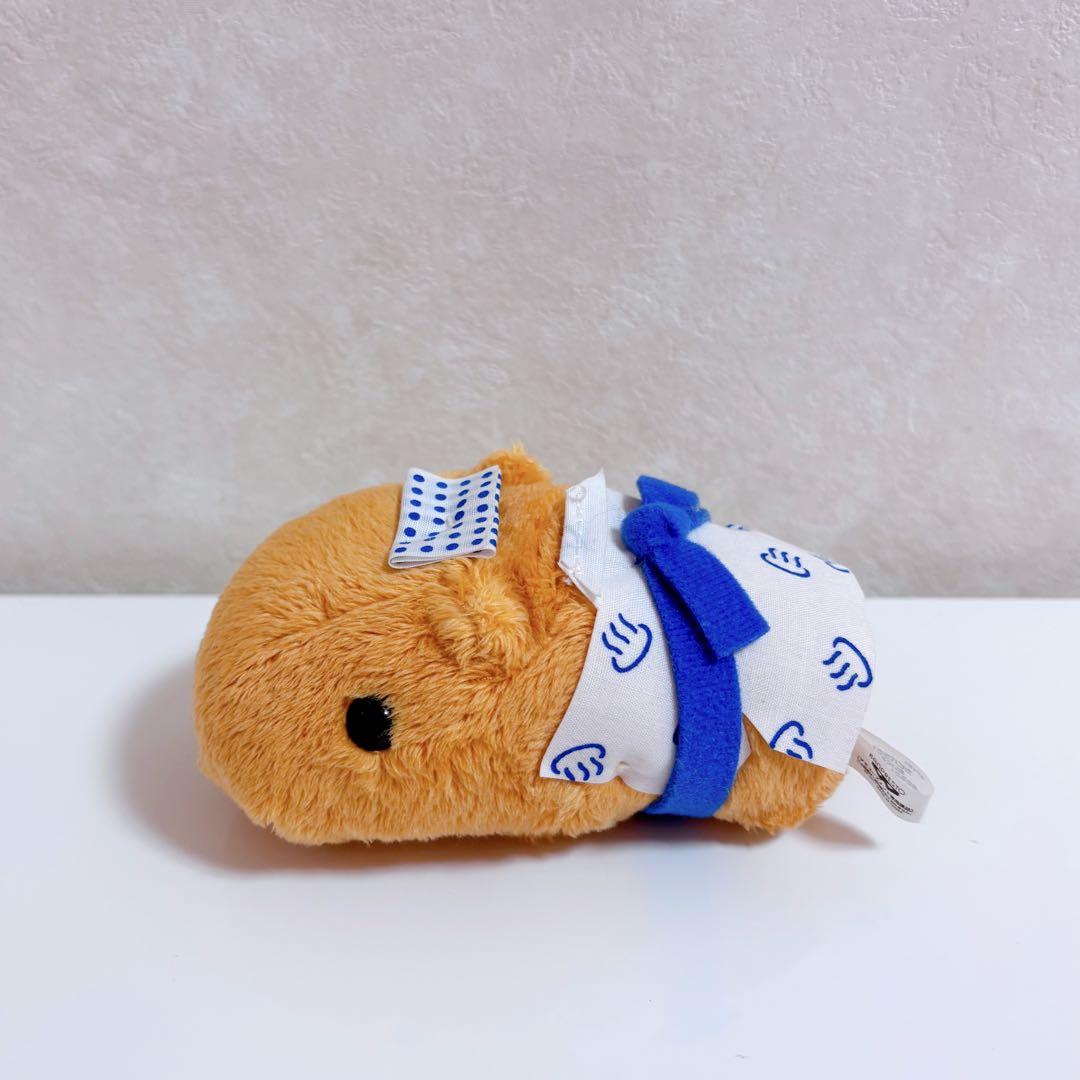 【レア品】カピバラさんぬいぐるみ〜ゆず温泉バージョン〜7点 セット