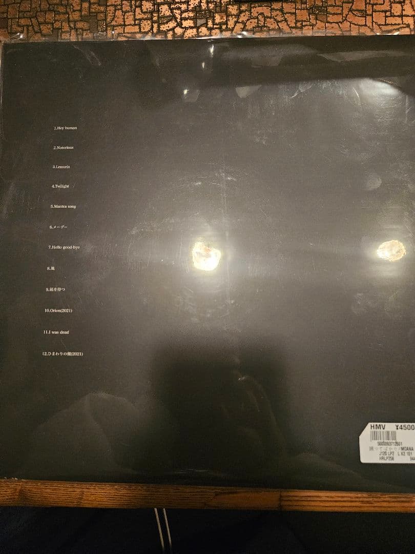 踊ってばかりの国　　新品　　2LP