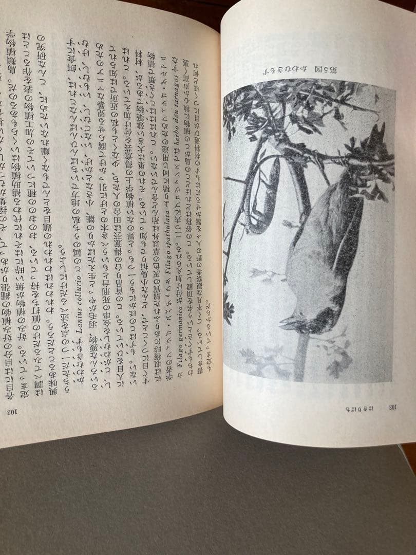 ファーブル昆虫記 全20巻 岩波書店　創刊60周年記念復刊　箱入り