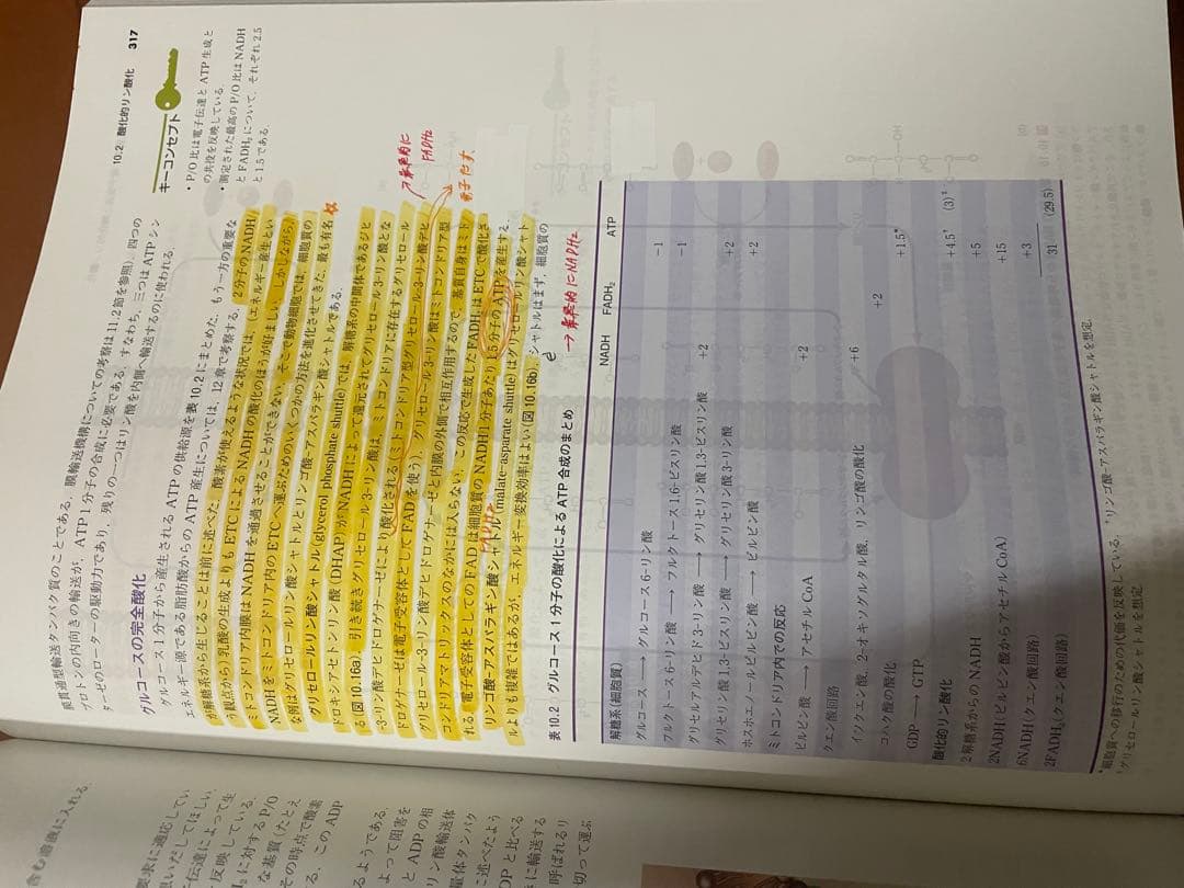 マッキー生化学（第6版）分子から解き明かす生命