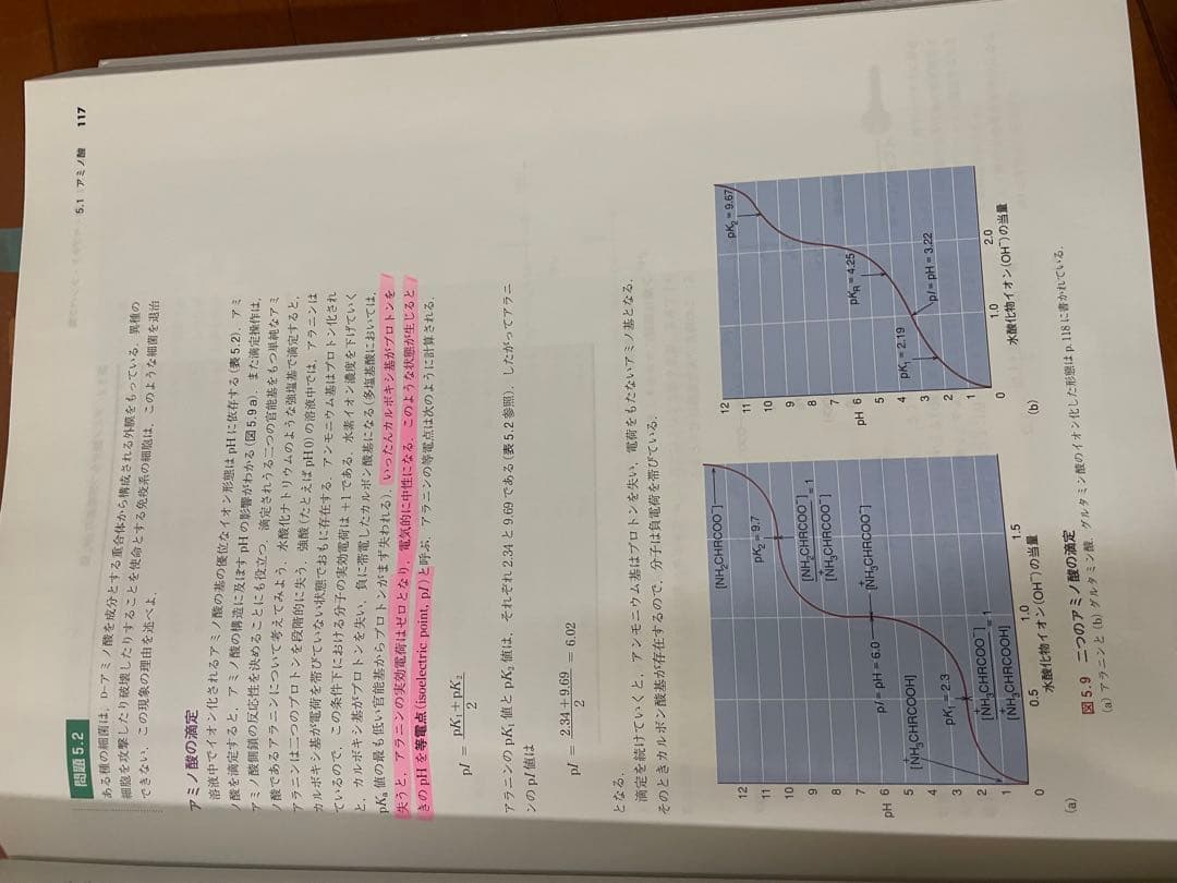 マッキー生化学（第6版）分子から解き明かす生命